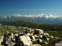 2026-05-09 Le cime di Casamaina 068